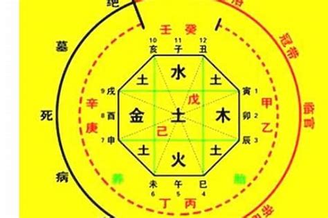 生肖命理|生辰八字算命、五行喜用神查詢（免費測算）